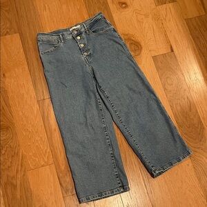 Levi's Mile High Cropped Wide Leg